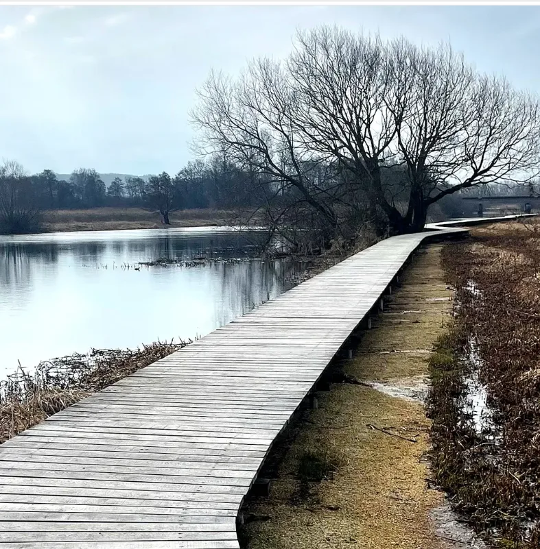 Naturstier i Øster Bjerregrav